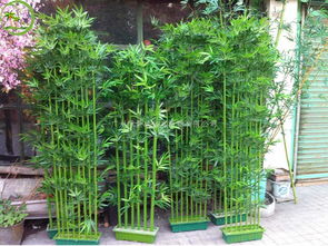 仿真竹子的特點以及用途介紹